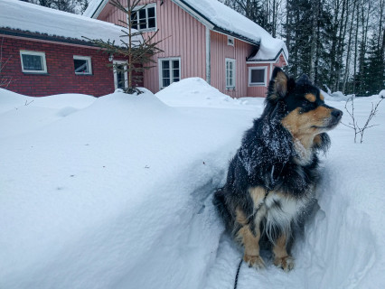 A lot of snow in March&April (2018)