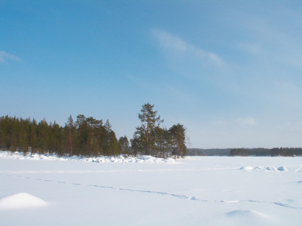 Äänekoski - Honkalinna (2006)