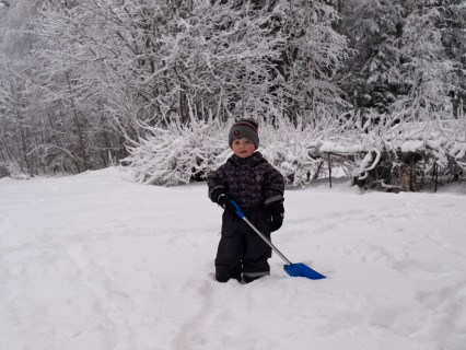 Beginning of winter (2012)