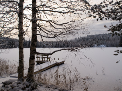 Berci's cottage - autumn & winter (2008)