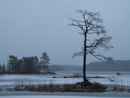 Honkalinna (2008)