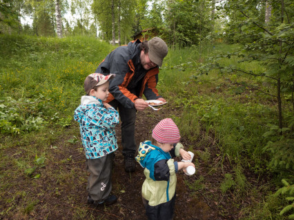 June, Juhannus (2014)