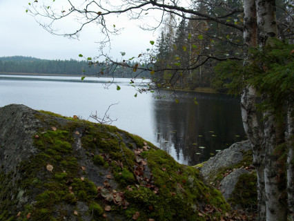 Karhujärvi (2005)