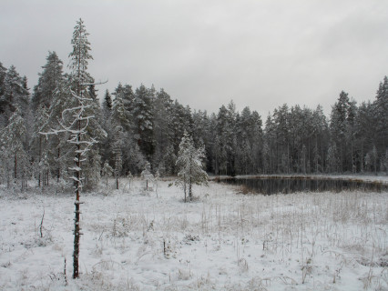 October - Köhniö, Laajavuori (2005)