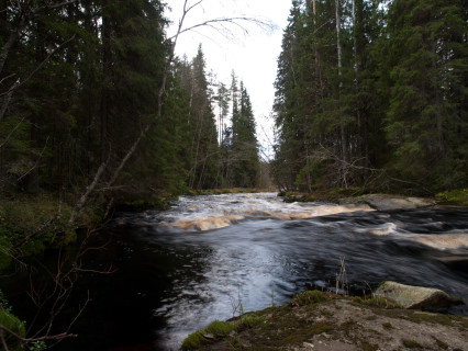 Pengerjoki (2011)