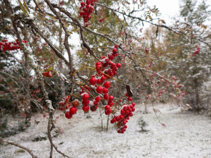 Snow in September (2014)