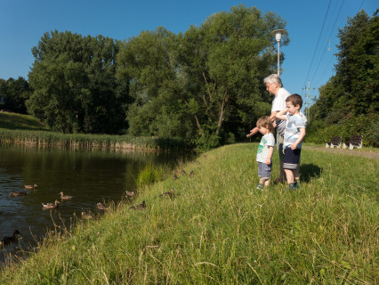 Summer in ČR (2015)